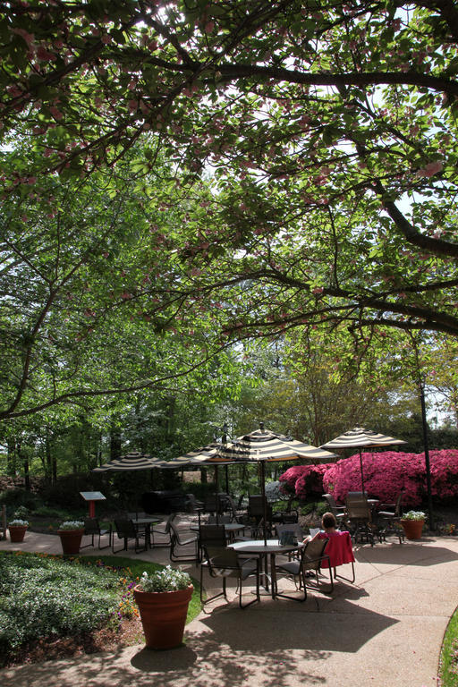 Hotel Fort Magruder Historic Williamsburg, Trademark By Wyndham Williamsburg